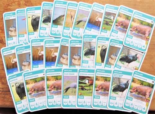 Trading Cards - South African Super Animals Cards - Pick n Pay ...