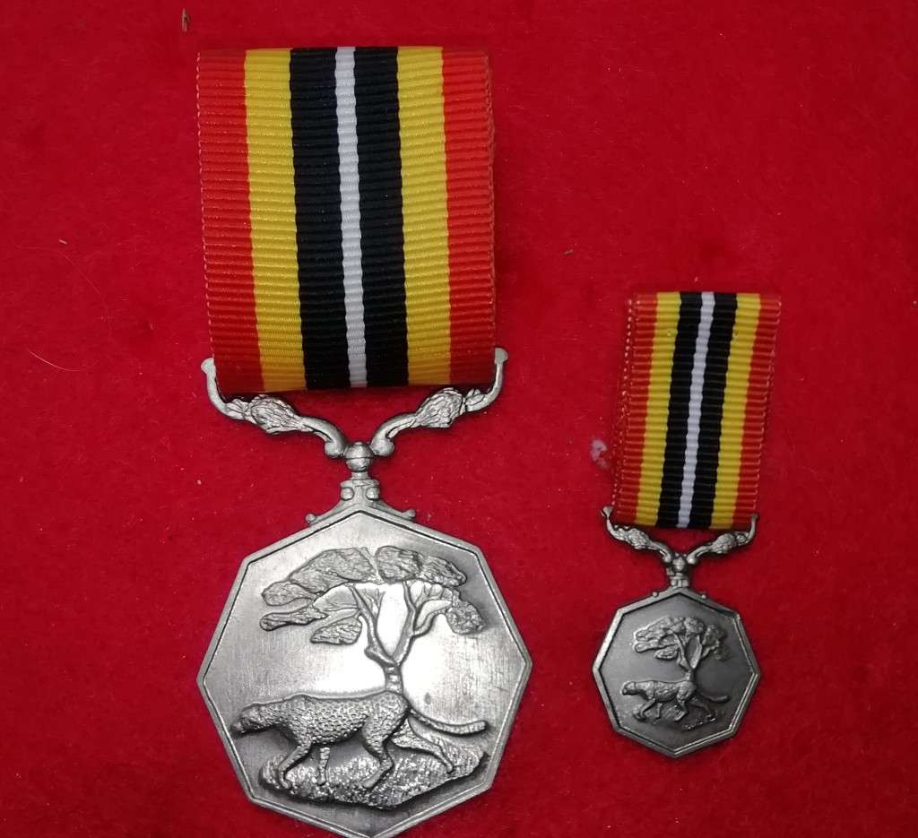 SADF & SANDF SOUTHERN AFRICAN MEDAL SET for sale in Pretoria