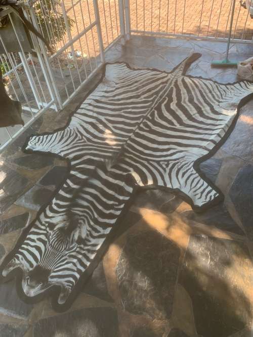 Other Sport & Leisure Felted Zebra Skin for sale in Nelspruit (ID