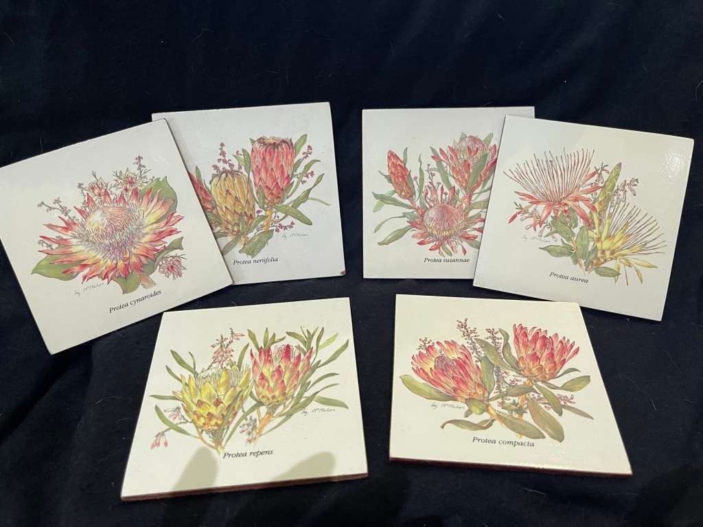 Other Kitchenalia - Coasters Proteas was listed for R125.00 on 19 May ...