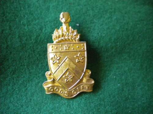 International Badges & Insignia - GREAT BRITAIN - ALLEYNS SCHOOL CAP ...