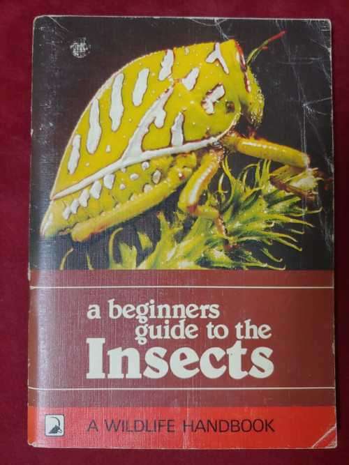Natural Science - A Beginner`s Guide to the Insects was listed for R60 ...
