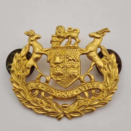 South African Army - South African `EX UNITATE VIRES` Army Badge - Pins ...
