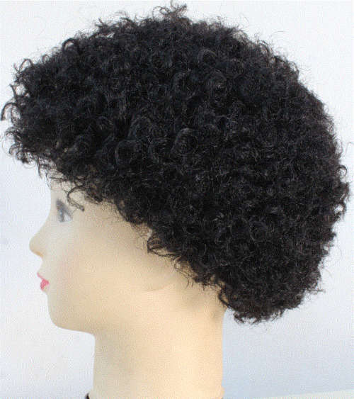 Wigs Dry Perm Wig Colour Black for sale in Pietersburg / Polokwane