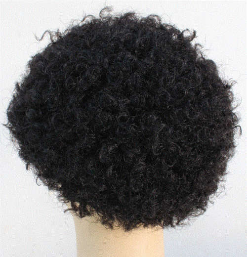 Wigs Dry Perm Wig Colour Black for sale in Pietersburg / Polokwane