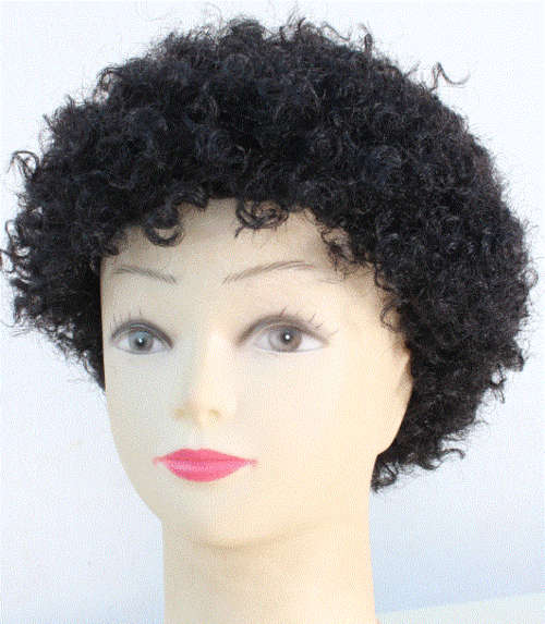Wigs Dry Perm Wig Colour Black for sale in Pietersburg / Polokwane