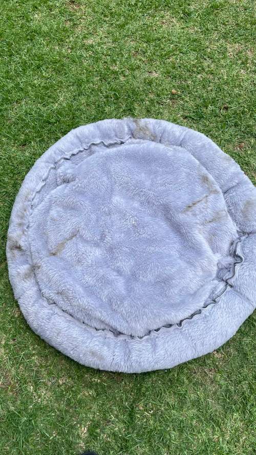 Beds & Furniture Wiggle Plush Dog Bed (Size L 90cm) was sold for R1