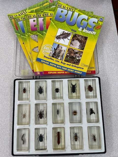Other Antiques &amp; Collectables - National Geographic Real Life Bugs in ...