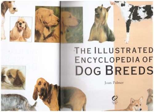 the illustrated encyclopedia of dog breeds