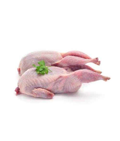 Chicken & Poultry Halaal / Kosher Jumbo Quail Meat Birds Frozen for sale in Johannesburg (ID