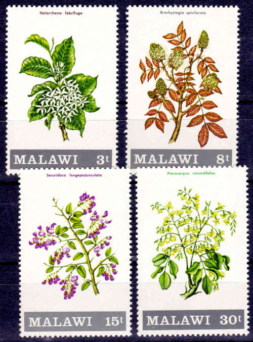 Malawi - MALAWI 1971, 14 July. Flowering Shrubs and Trees ...