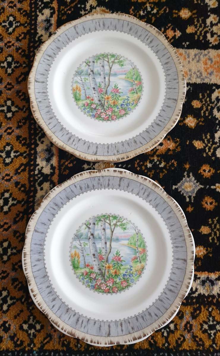 English Porcelain TWO WALL PLATES DECOR KITCHEN ENGLAND ROYAL