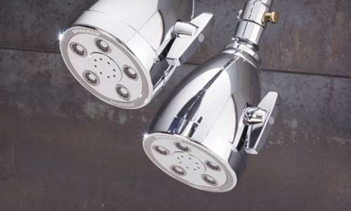 speakman heavenly dual shower head