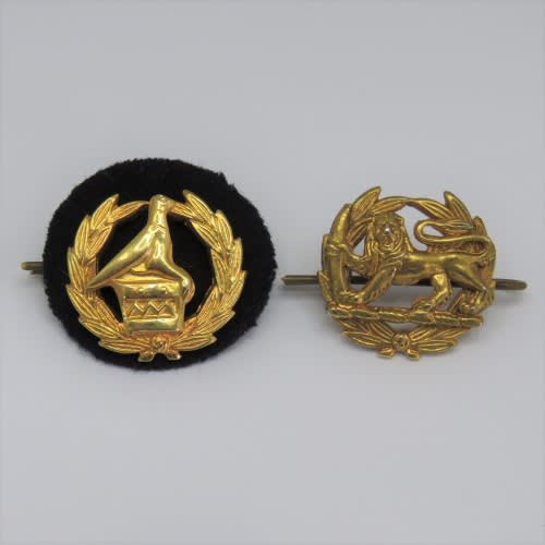 Other Badges & Insignia - Rhodesia RSAP and Zimbabwe Republic Police ...