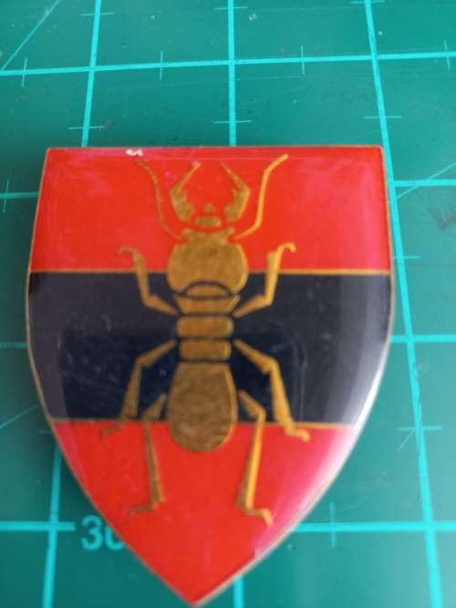 South African Army SADF 1 Construction Regt flash all pins for sale in Johannesburg (ID589131448)