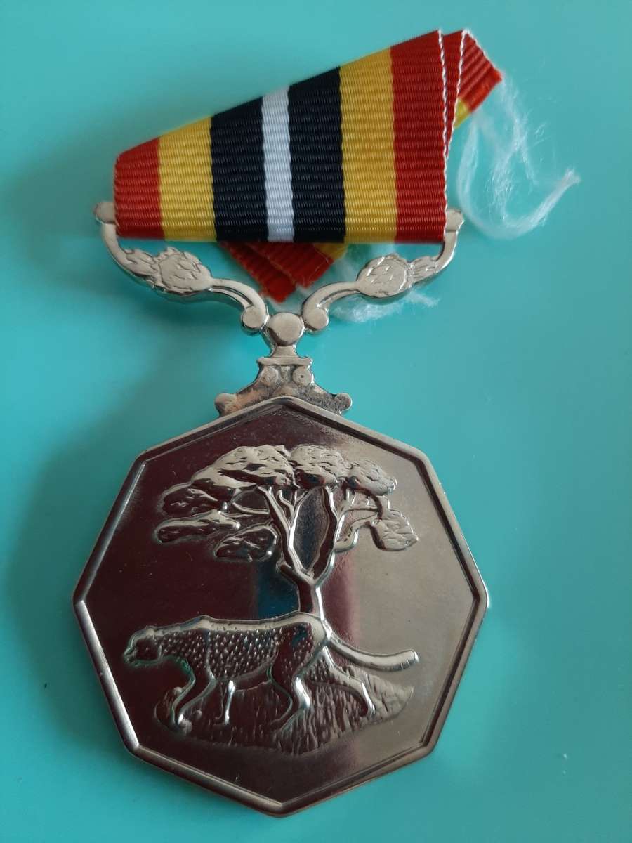 SADF & SANDF SADF FULL SIZE SOUTHERN AFRICA MEDAL (NUMBERED