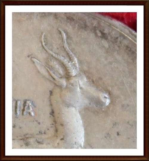 One Rand 1966 Rep.S.A.One Rand Afrikaans,"Tagged" ear, Only About 400