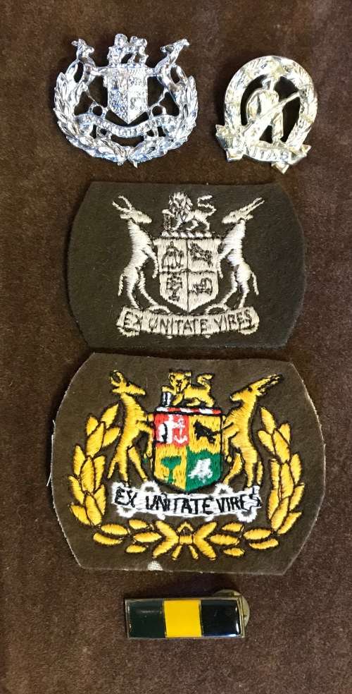 South African Army Ex Unitate Vires Unitas 5 Various Badges Sadf Military Infantry