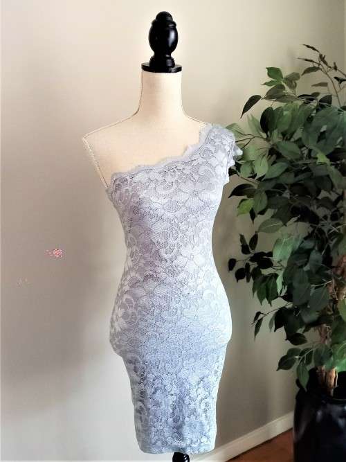 Formal Dresses Stunning Silver Lace Cocktail/Evening Dress from