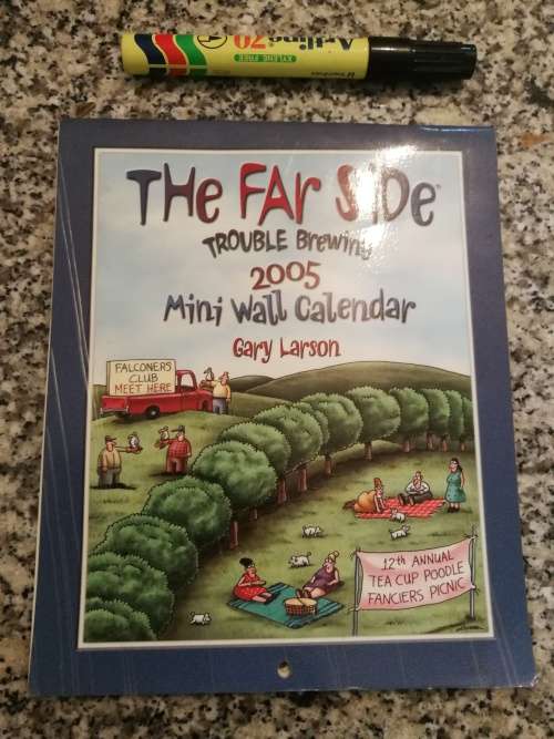 Comic Books - THE FAR SIDE TROUBLE BREWING 2005 MINI WALL CALENDAR GARY