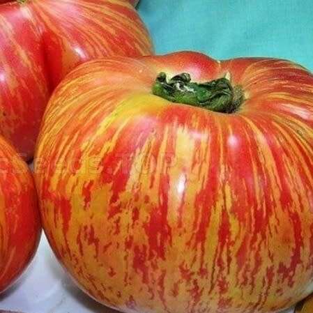 Vegetables - Tomato `vintage wine` - 25 seeds was sold for R9.00 on 3 ...