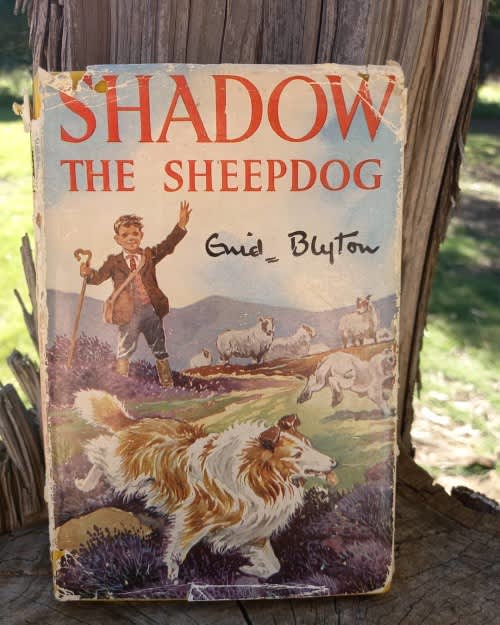 Children's Classics - Shadow the Sheepdog by Enid Blyton was sold for ...