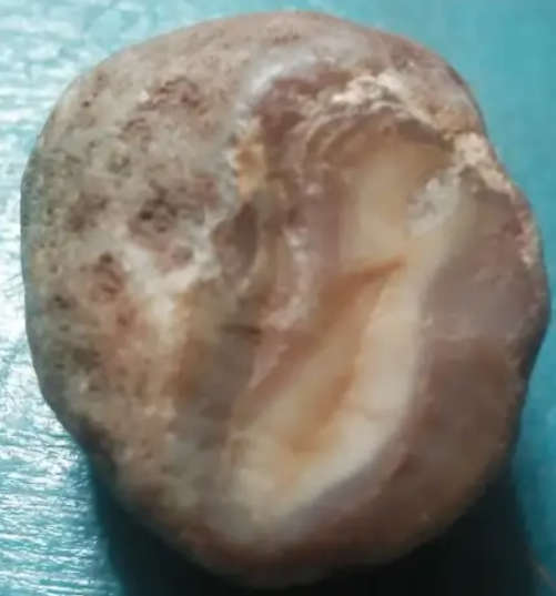 Crystals, Gemstones & Stones Botswana Agate protective healing