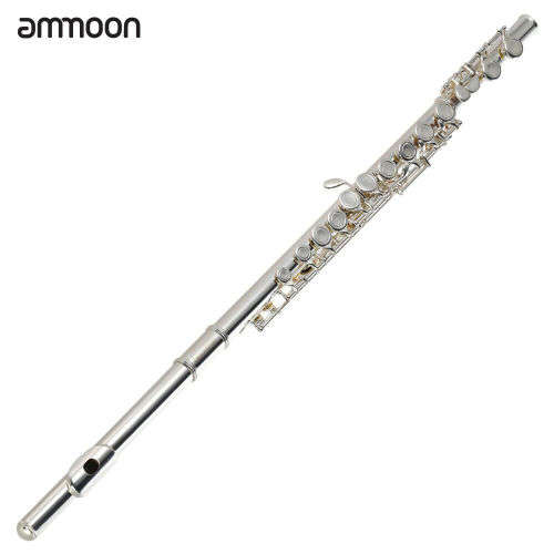Woodwind & Harmonicas Ammoon flute 24 48 hour delivery SA was