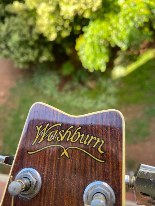 Other Antiques & Collectables RARE VINTAGE WASHBURN GUITAR IN BOX