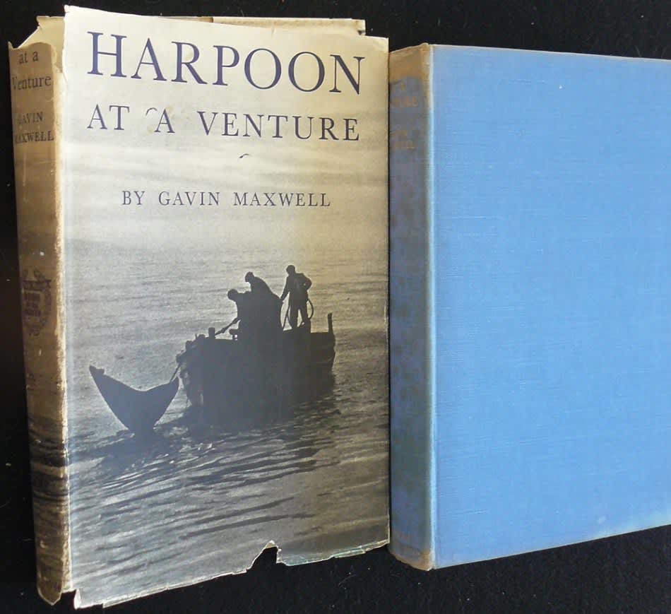 harpoon ventures