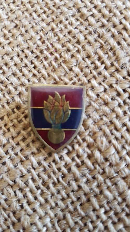International Badges & Insignia small SADF era SAEC lapel pin badge