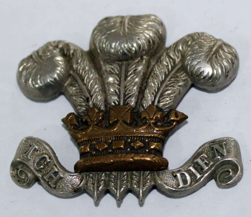 International Badges & Insignia Welsh Regiment Cap badge (no pins