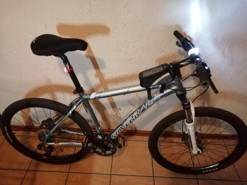 Silverback phoenix mountain sales bike