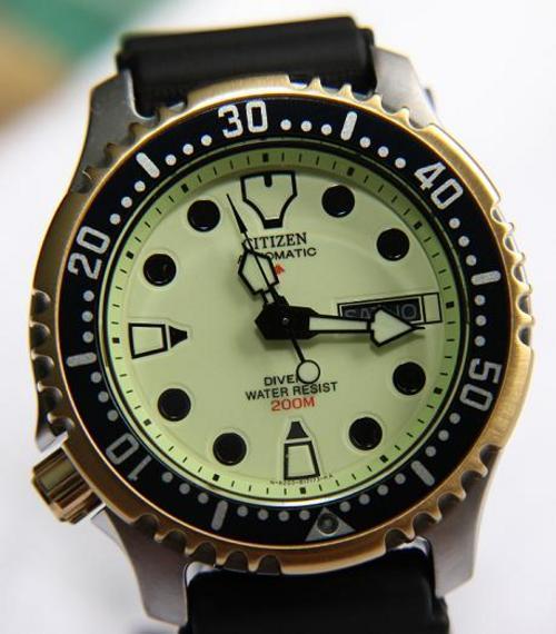 citizen promaster diver 200m automatic