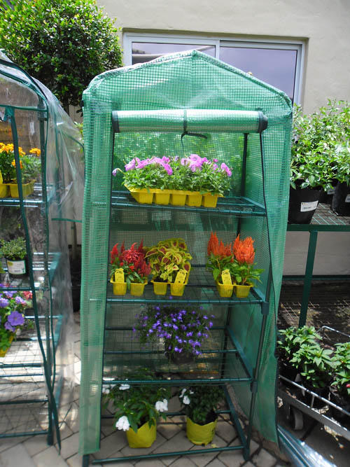 Mini Greenhouse for herbs