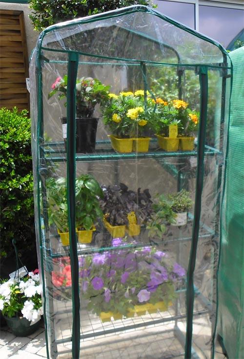 clear cover for mini greenhouse