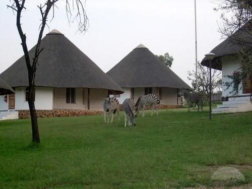 Accommodation in SA - Monateng Safari Lodge midweek 8-12 July 2 bedroom ...