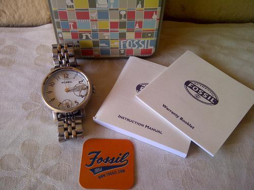 Fossil Water Dial Stainless Steel Watch