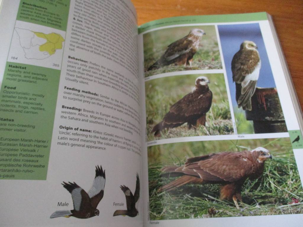Natural Science - The RAPTOR Guide of Southern Africa Ulrich ...