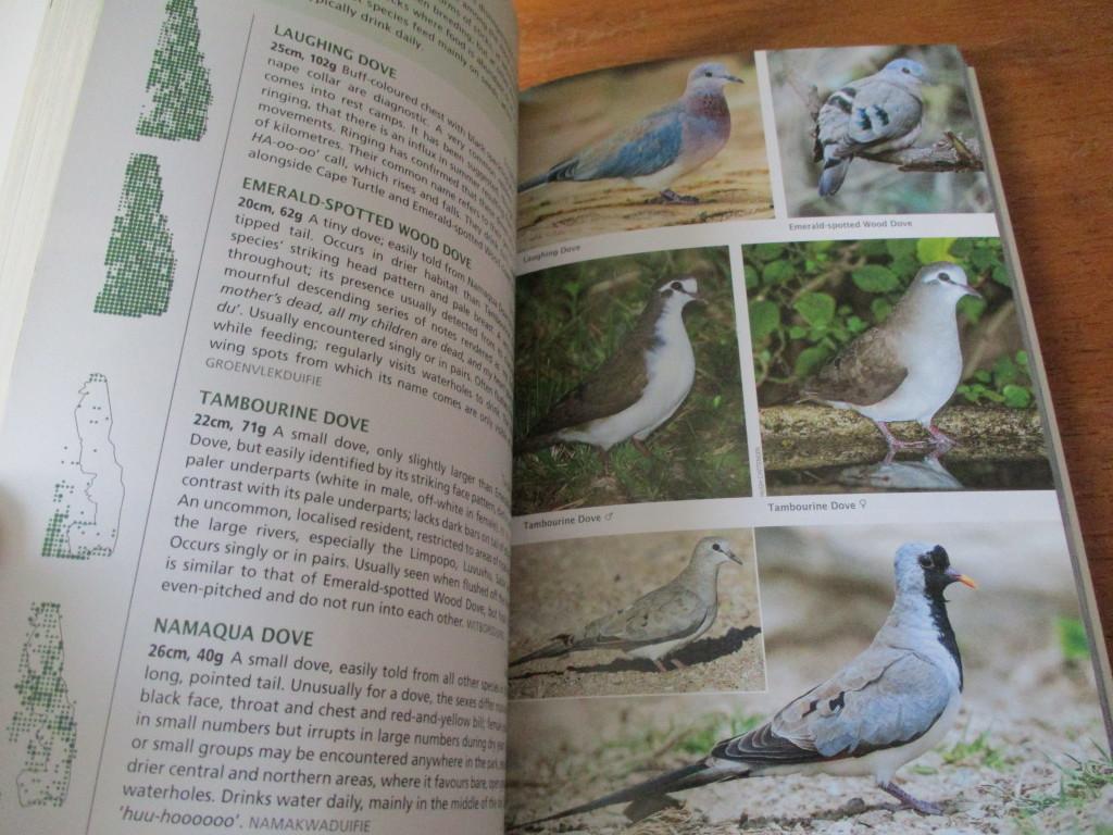 Natural Science - Guide to BIRDS of the Kruger National Park Warwick ...