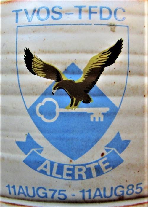 Mugs 1985 SAAF Test Flight and Development Centre Beer Mug for sale