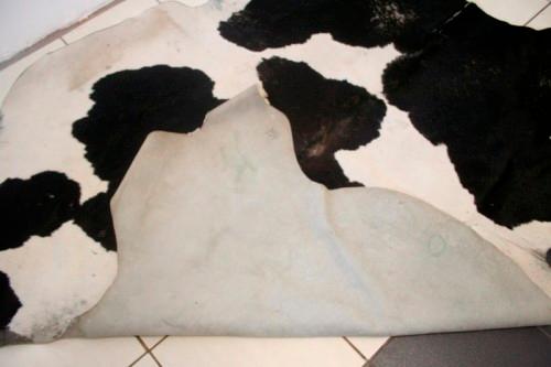 Rugs & Carpets - A genuine (large) Nguni cow hide mat in great ...