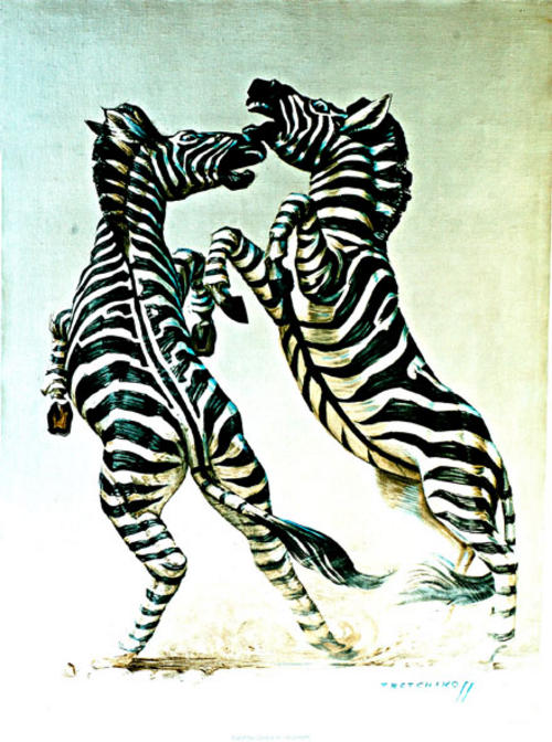 fighting zebra drawing