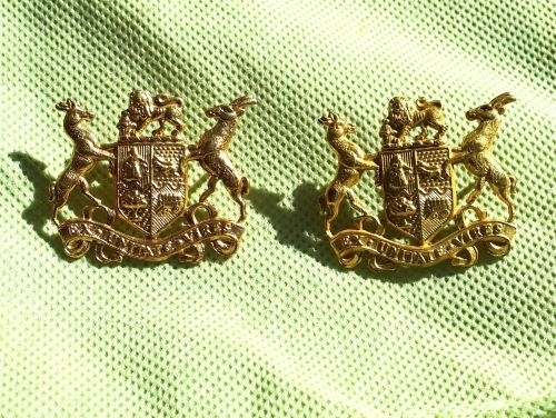 South African Army - 2 x Ex Unitate Vires SA Army Badge with pins ...