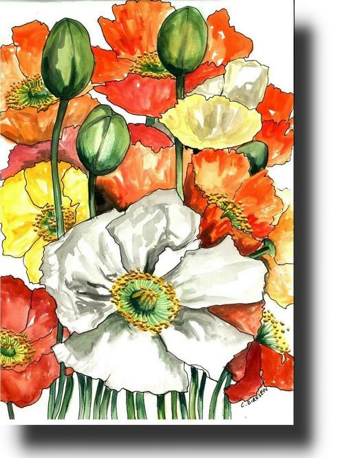 poppy floral original south african artist cherie dirksen small painting watercolour flowers