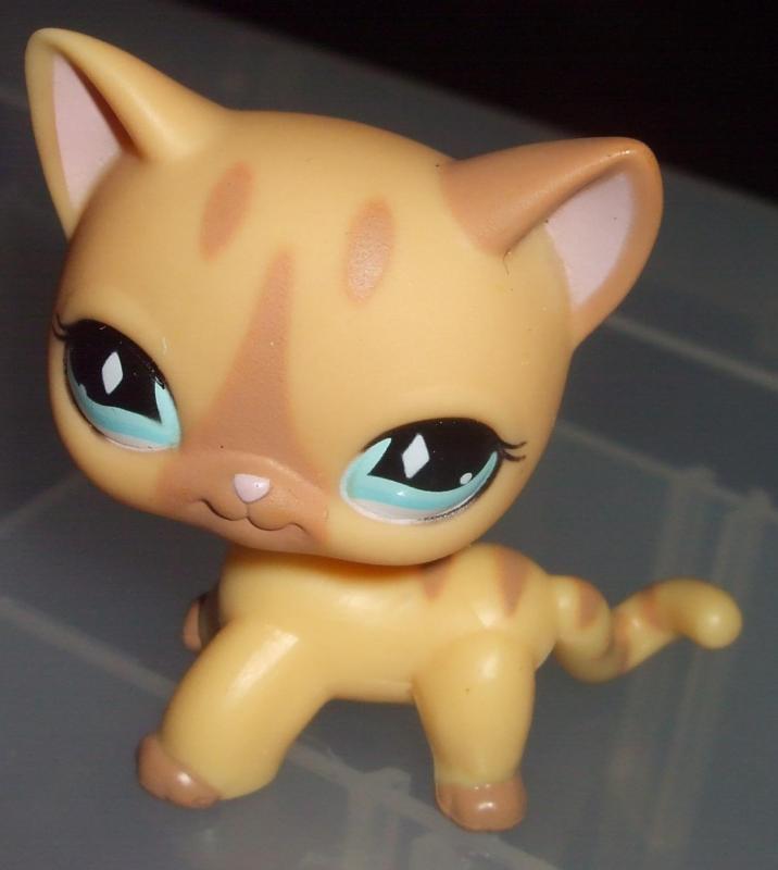 Other Collectable Toys - Littlest pet shop, Siamese Cat 886 was sold for   on 16 Apr at 15:52 by Sigrids Shop in Johannesburg (ID:35231051)