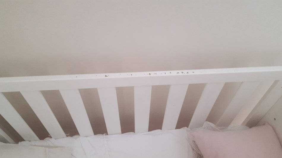 Cots Second Hand MALUTI DREAM COT WHITE was sold for R800.00 on 30