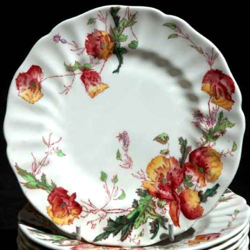 Image of plate.