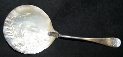Vintage Silver and Etched Mother of Pearl Serving Spoon