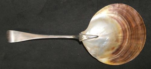 Vintage Silver and Etched Mother of Pearl Serving Spoon